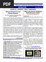 Download KIDNEYS  URINARY TRACT DISEASES by BlackHerbals SN225769771 doc pdf