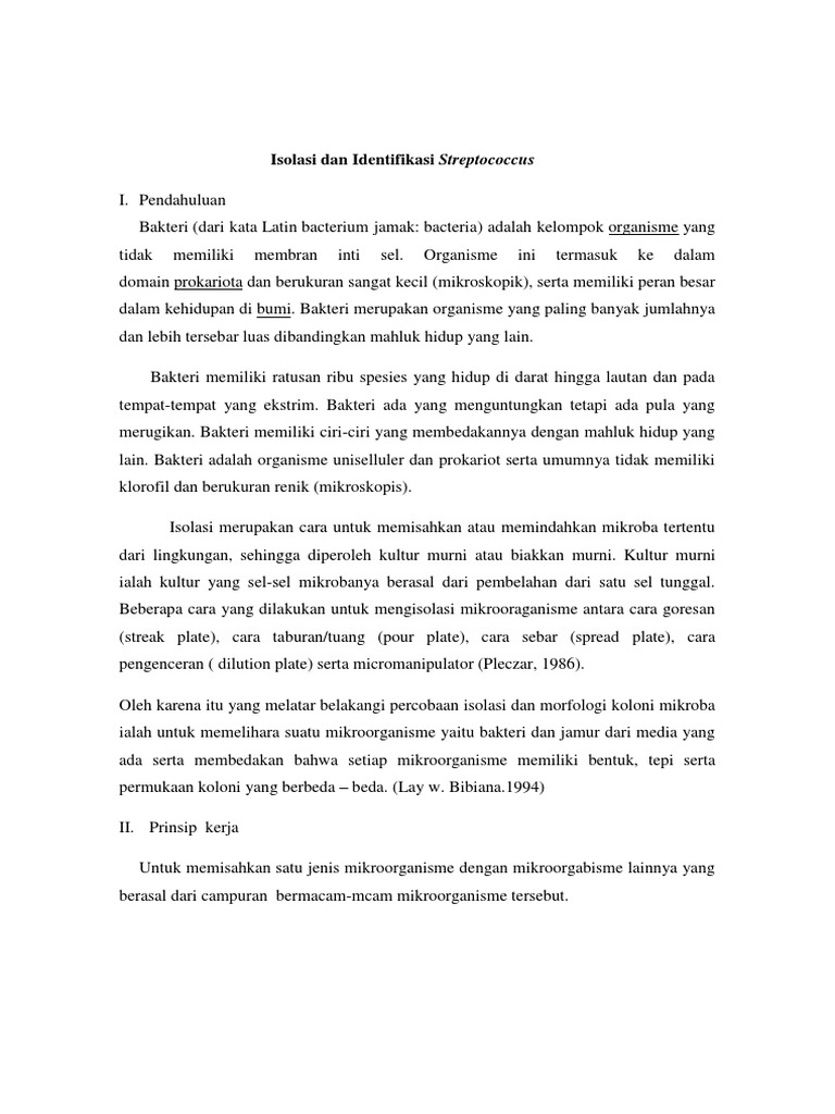 Isolasi dan Identifikasi Streptococcus | PDF