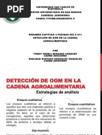 presentacion capitulo 4