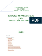 Perfiles Profesionales para Educacion Secundaria (2000)