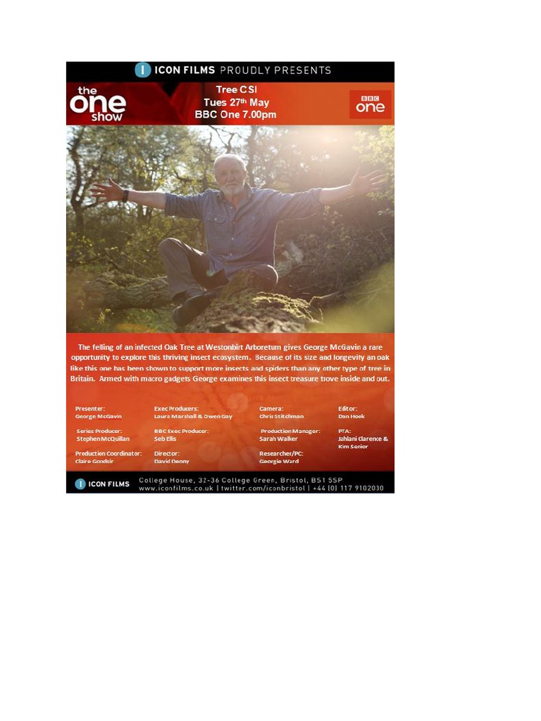 Tree CSI | PDF