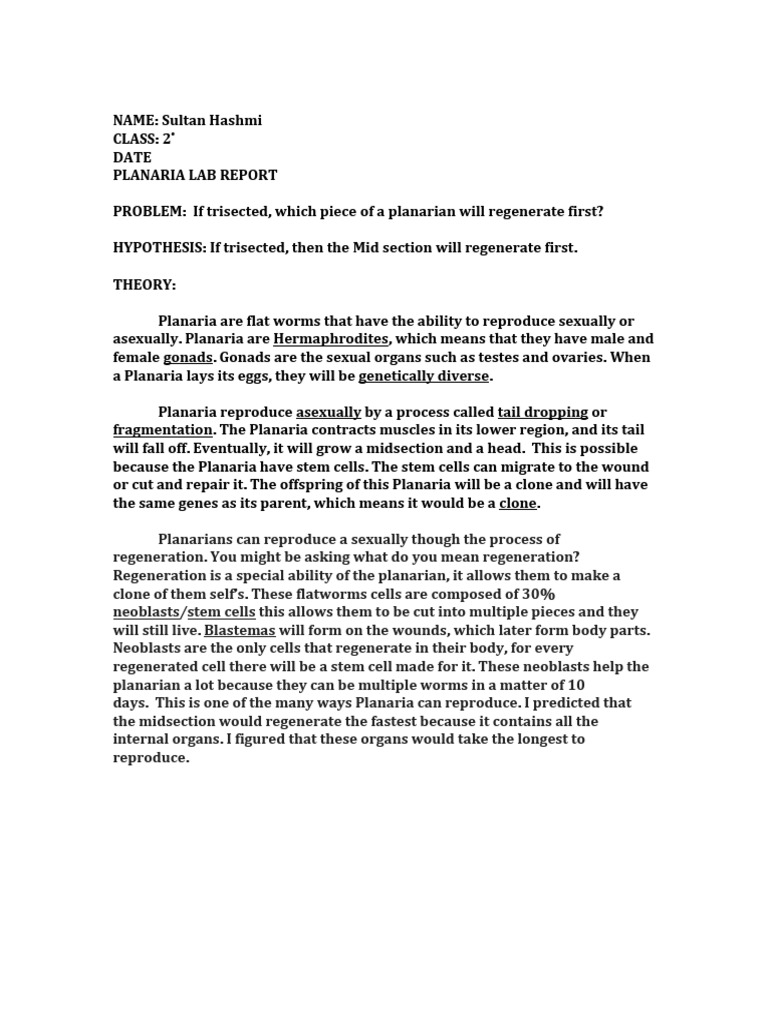 Planarian regeneration lab high school picture