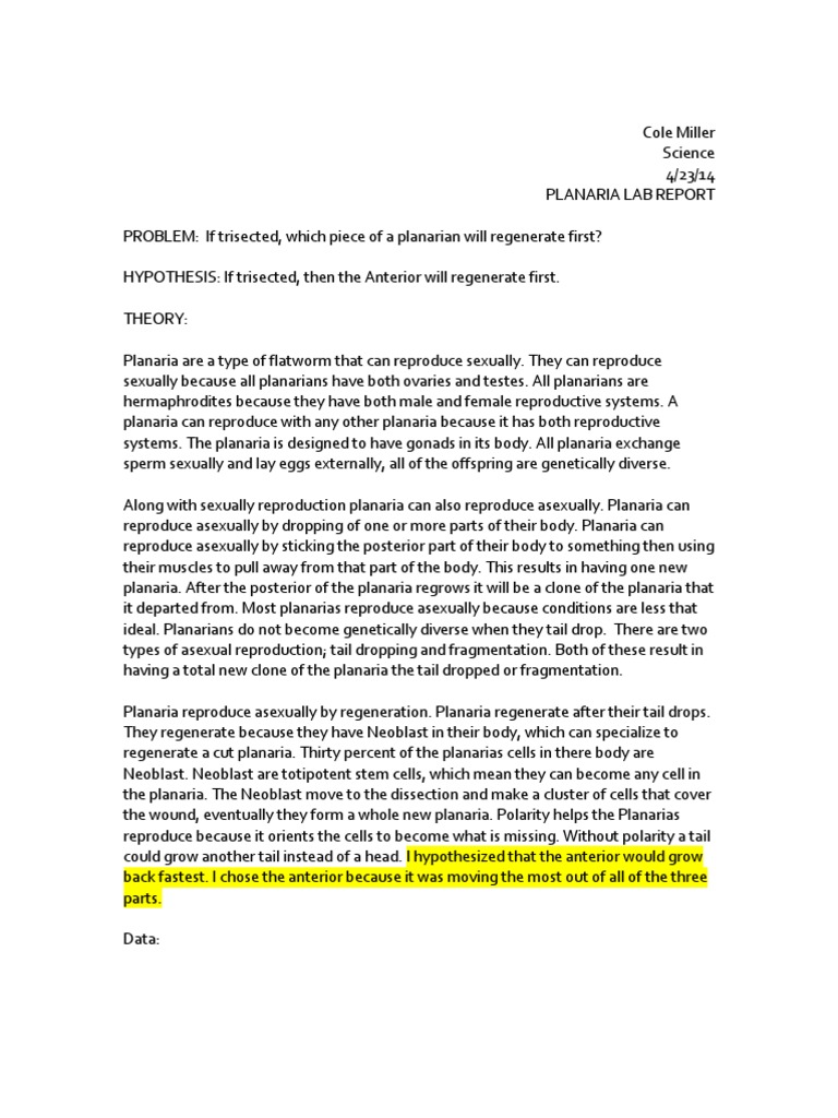 Planarian regeneration activity answers picture