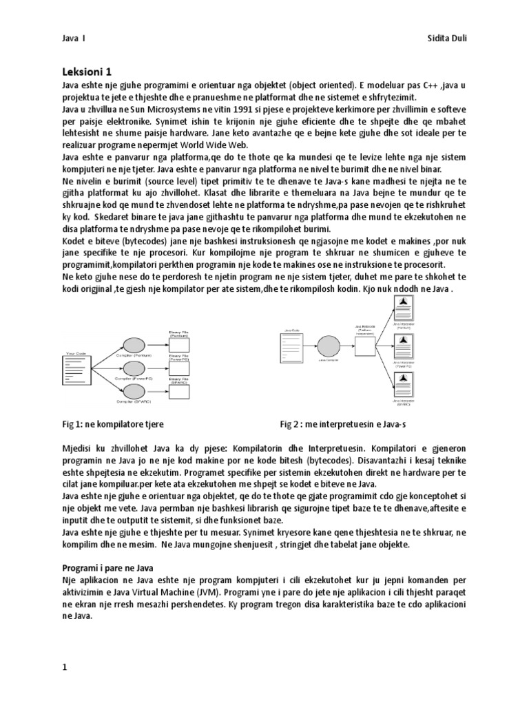 Leksionet Java 1 | PDF