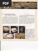 Cap.6 Fungos
