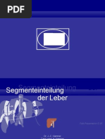 Download Lebersegmente Sono by mjwagner1 SN22580929 doc pdf