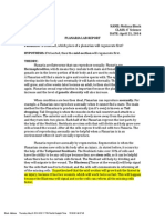 Planaria Lab Report PDF