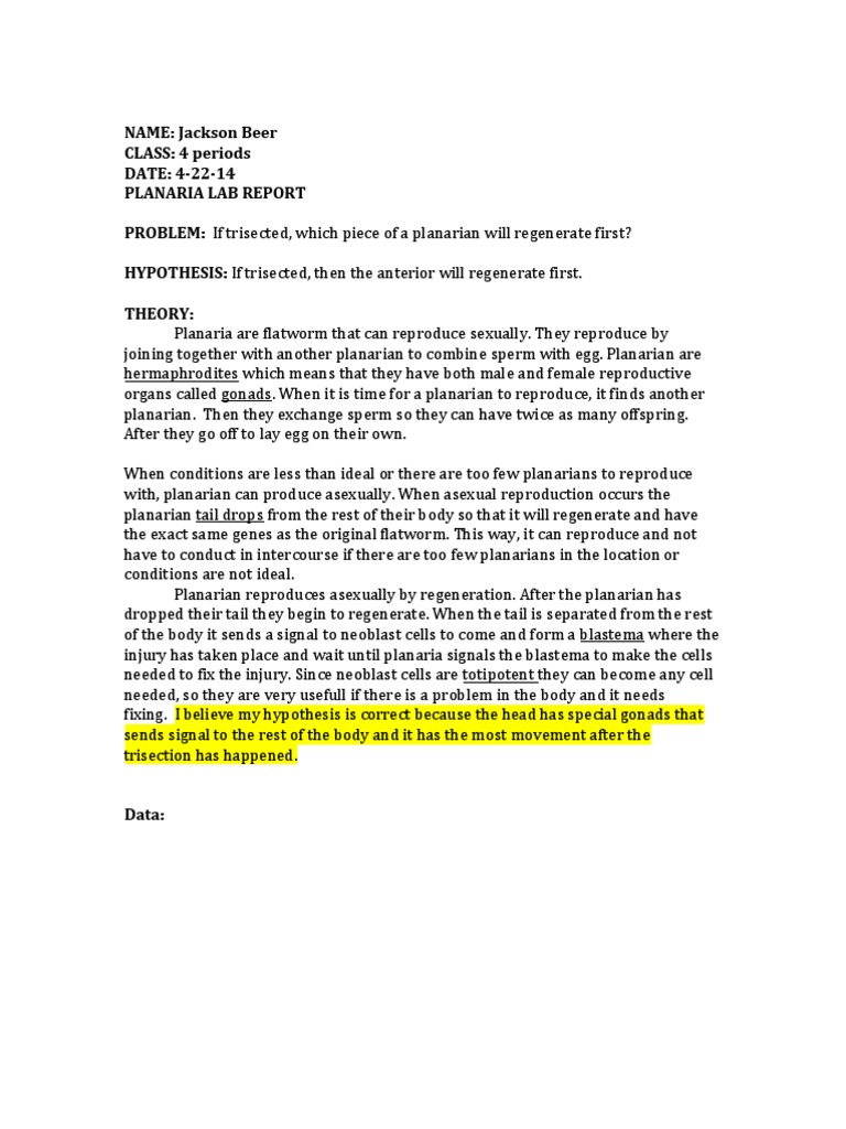 How do planarians eat picture