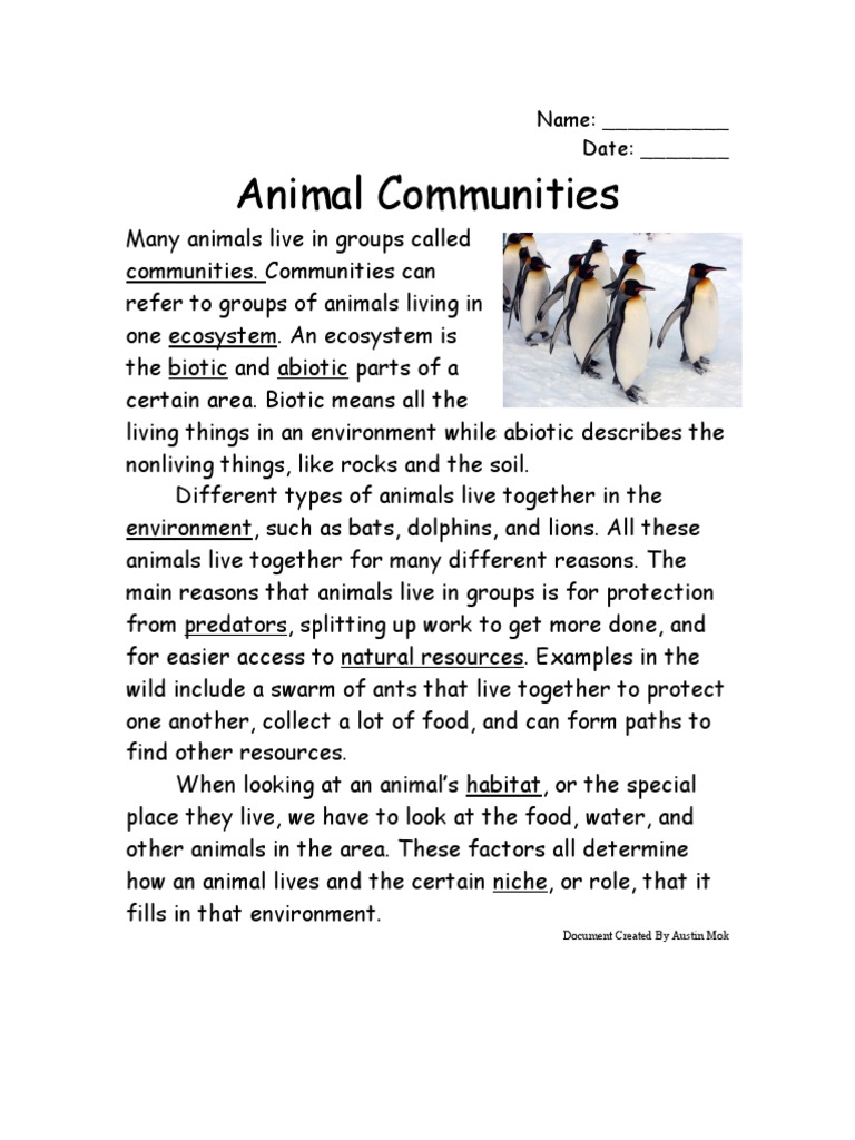 Apes Reading | PDF | Social Science | Home & Garden