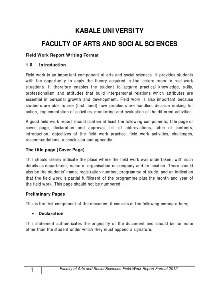 Fieldwork Format Ok Field Research Social Science