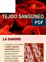 Tejido Sanguineo Completo New