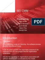 Sei CMM Model