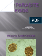 Few Parasite EGGS