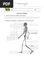 Fichas de Estudo do Meio 4º ano.doc