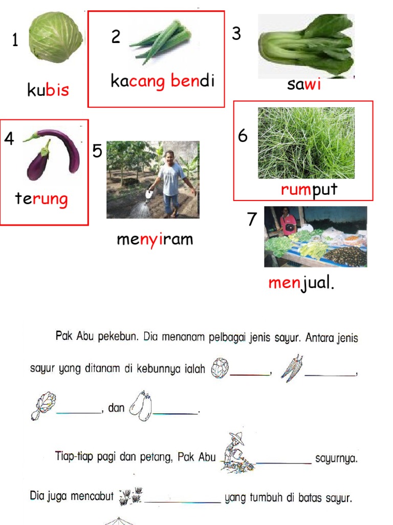 Set Soalan Bahasa Melayu Tahun 2 - Rasmi Suc