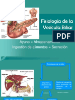 Fisiología de Vías Bilaires