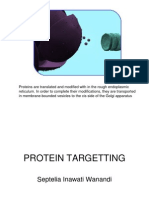 5.protein Targetting