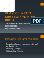 Changes in Fetal Circulation After Birth
