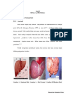 CA Hepatoseluler - Skripsi