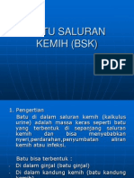 Batu Saluran Kemih (BSK)