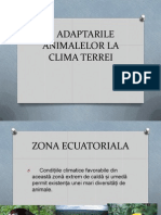 Adaptarile Animalelor La Clima Terrei