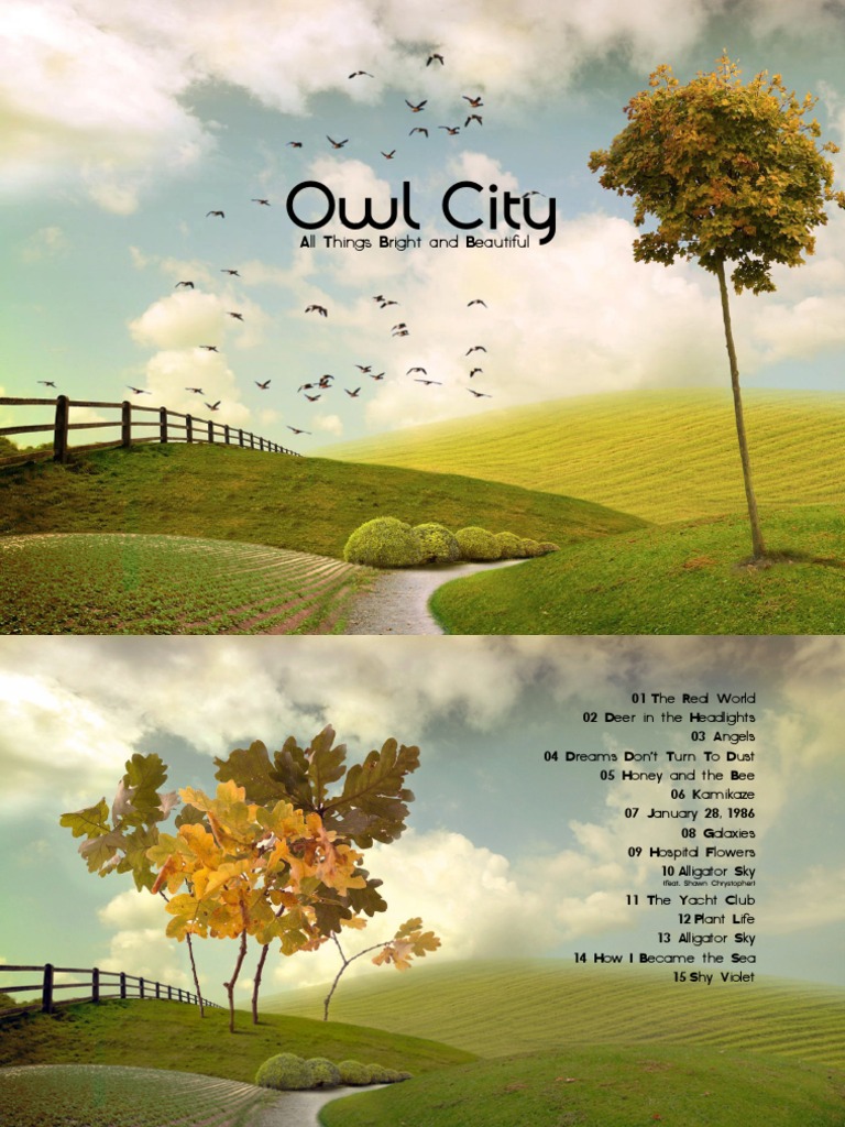 Owl City: All Things Bright & Beautiful | PDF | Music Industry