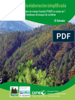 B Coniferas Con Portada