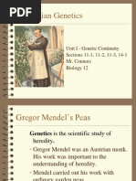 class paper 7th essay 1 exam Inheritance  Chapter Patterns Dominance Test:  of 12