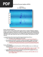 Download Restriction Lab by tworedpartyhats SN225930559 doc pdf
