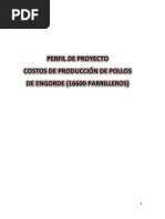 Costos Produccion Pollos Parrilleros