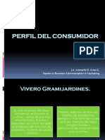 Perfil Del Consumidor