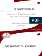 Cirugia Cardiovascular