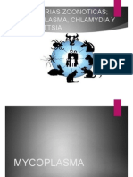 Bacterias Zoonoticas Mycoplasma Chlamydia y Rickettsia