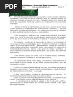 Apostila Obsessão - Lar Rubataiana -doc - 05 doc.doc