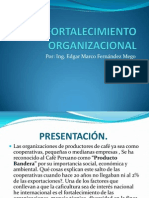 Fortalecimiento Organizacional