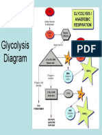 Glycolysis Diagram