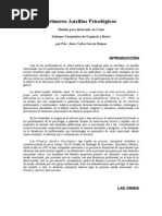 Intervencion y breve.doc