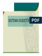 SISTEMA DIGESTÓRIO.pdf
