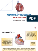 Aparato Cardiovascular Dr. Collada