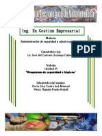 programadeseguridadehigiene-121125155619-phpapp01.docx