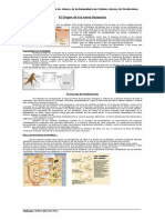 Prehistoria Paleolitico