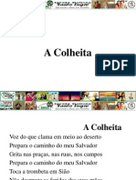 A Colheita