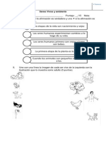 Prueba Seres Vivos y Ambiente