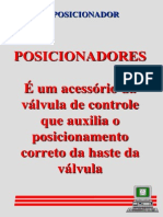 07.10 ISA Posicionador