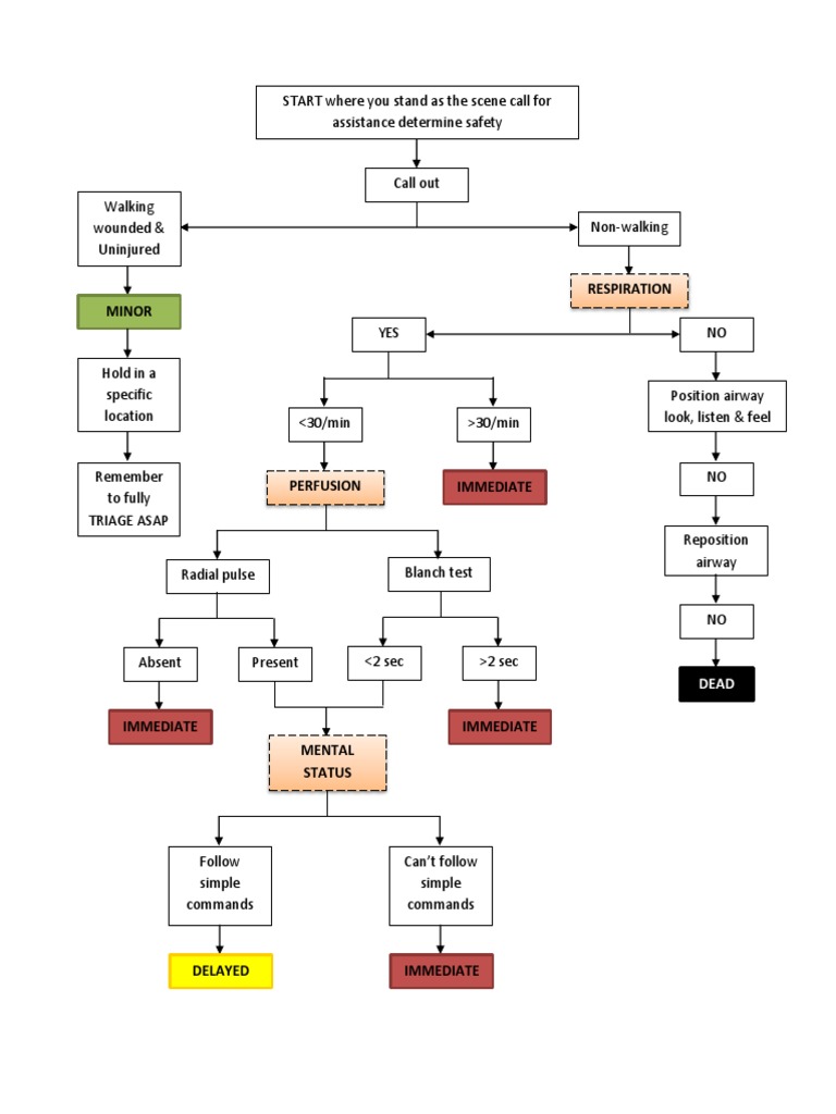 Emergency Triage Assessment Guide | PDF