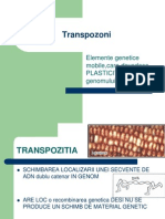 Transpozoni