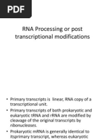 RNA Processing or Post Transcriptional Modifications.