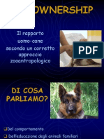 Animali Da Compagnia