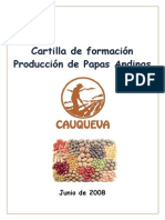 Cartilla Producción de Papas Andinas