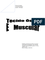 Tecido Osseo e Muscular